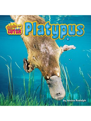 cover image of Platypus